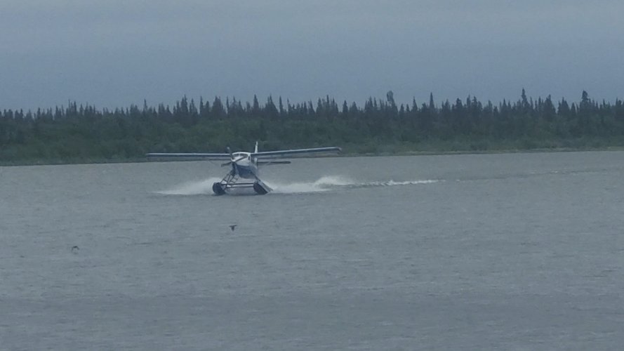 20250617_113047_exported_23755.jpg
