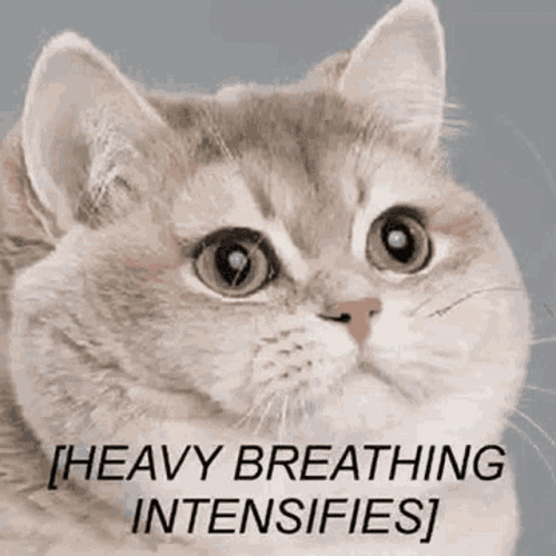 heavy-breathing-intensifies.gif heavy-breathing-intensifies.gif