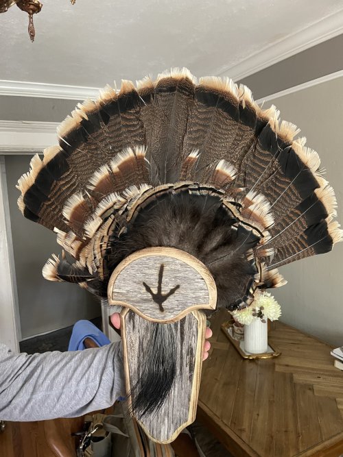 1750383269379.jpeg 1750383269379.jpeg