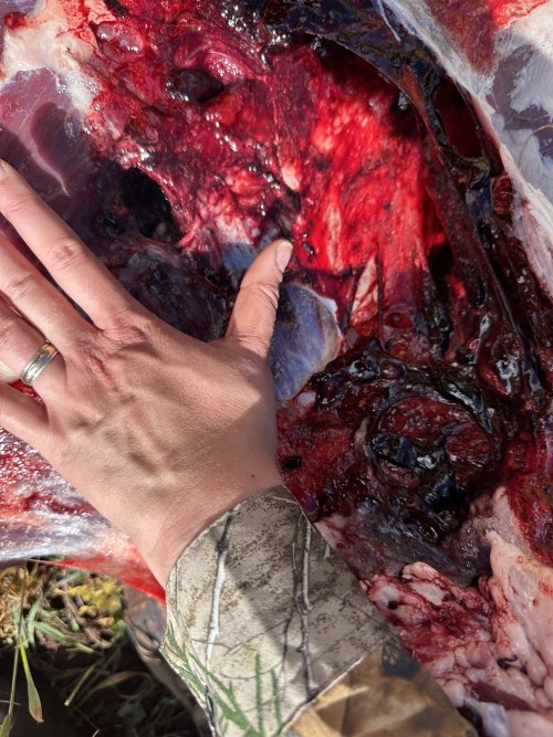 IMG_9791.jpeg IMG_9791.jpeg