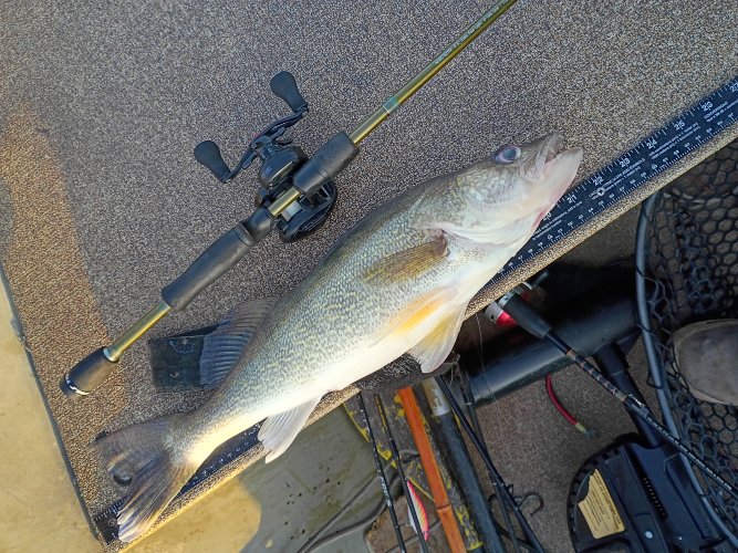 IMG_20250619_061910828_HDR.jpg IMG_20250619_061910828_HDR.jpg