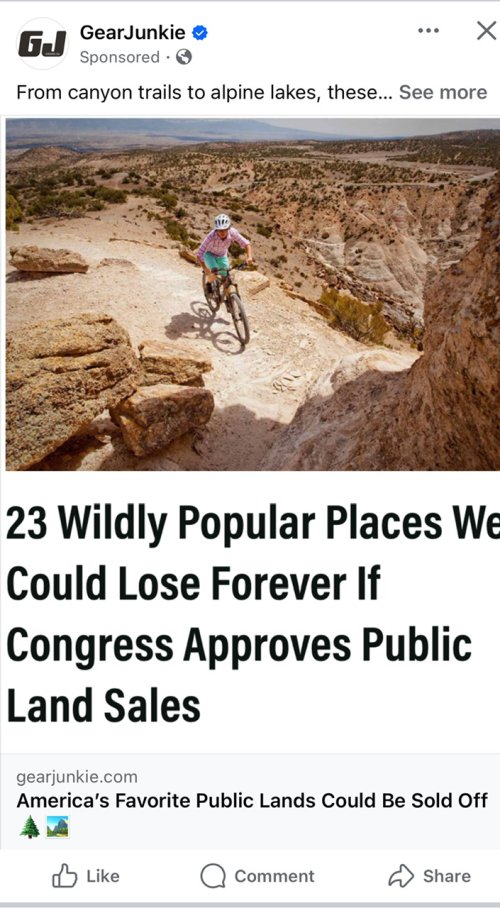 IMG_1231.jpeg IMG_1231.jpeg