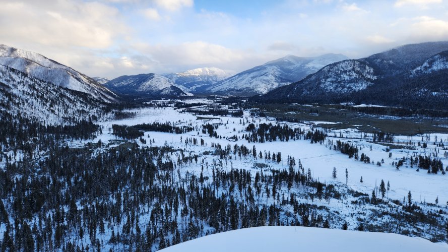 20250209_165258.jpg