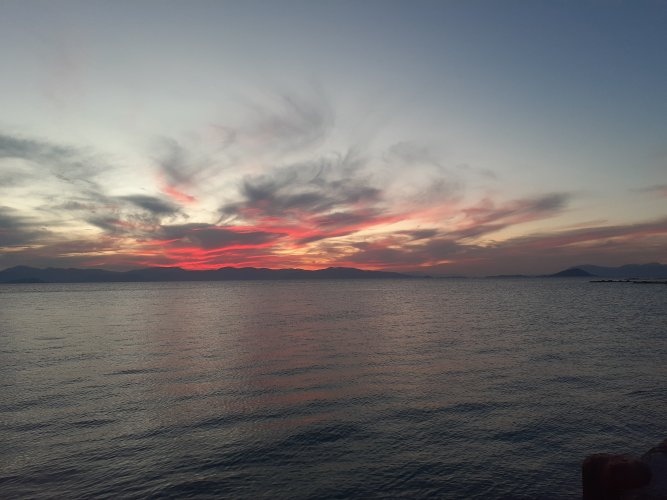 20250308_183843.jpg