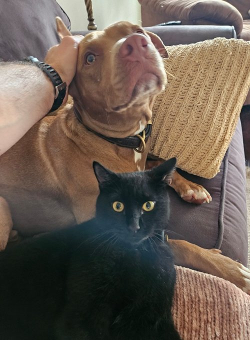 Screenshot_20250622_191225_Gallery.jpg Screenshot_20250622_191225_Gallery.jpg