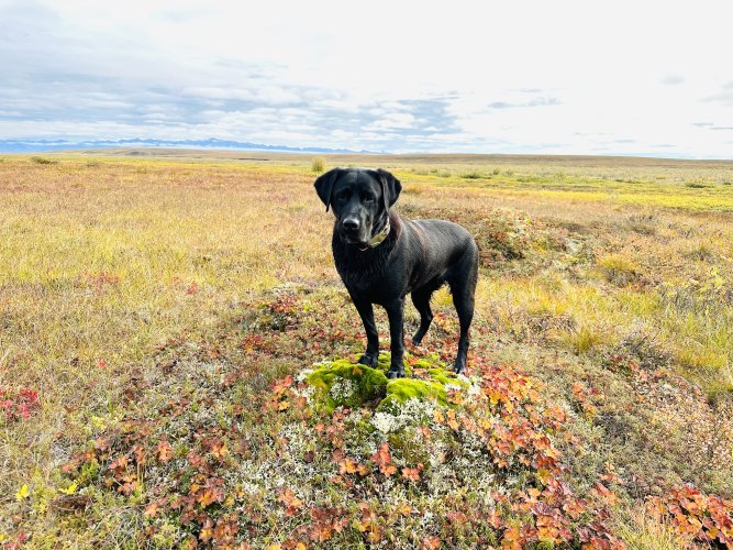 IMG_1309.jpeg IMG_1309.jpeg