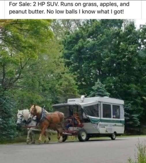 1750712778837.png