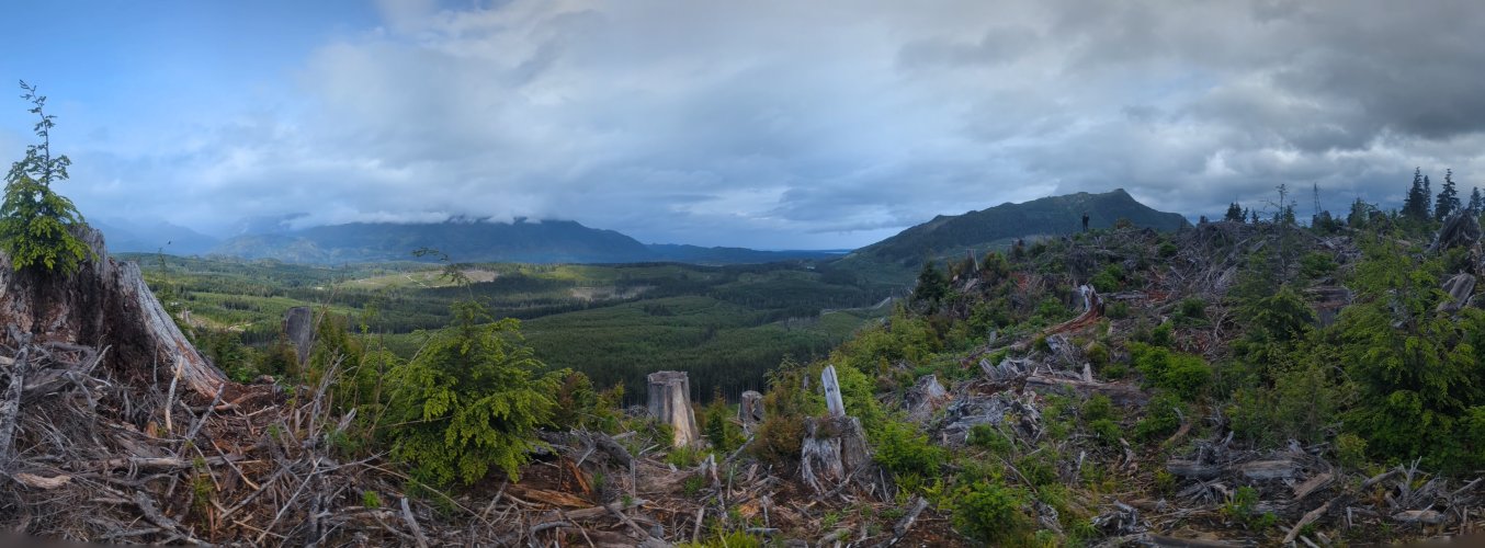 PXL_20250527_171142855.PANO.jpg