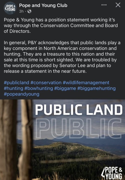 IMG_3689.jpeg IMG_3689.jpeg