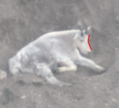 1750764724772.png