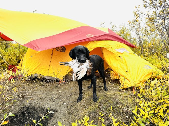 IMG_1264.jpeg IMG_1264.jpeg