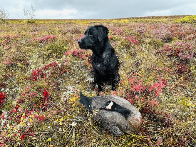 IMG_1358.jpeg IMG_1358.jpeg