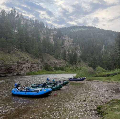 IMG_4267.jpeg IMG_4267.jpeg