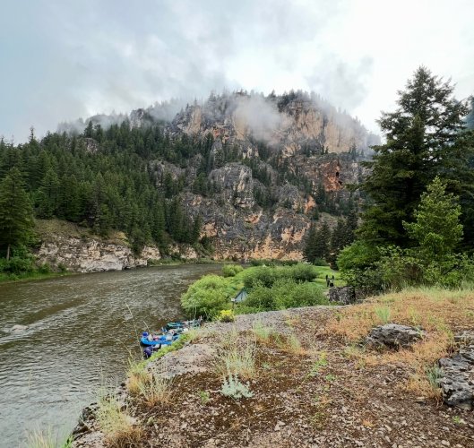 IMG_4261.jpeg IMG_4261.jpeg