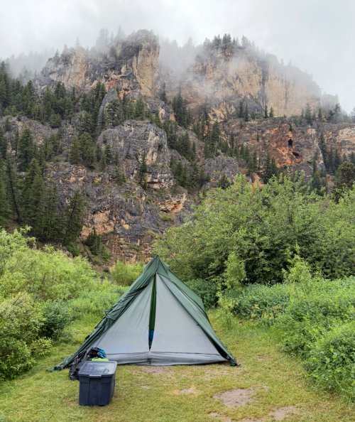 IMG_4266.jpeg IMG_4266.jpeg