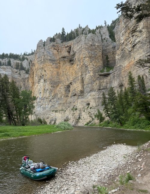 IMG_4265.jpeg IMG_4265.jpeg