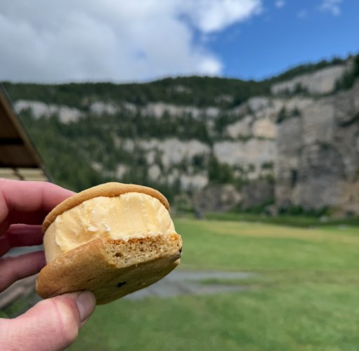 IMG_4262.jpeg IMG_4262.jpeg