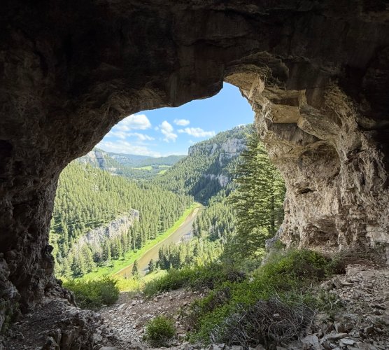 IMG_4264.jpeg IMG_4264.jpeg