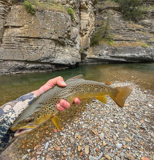 IMG_4263.jpeg IMG_4263.jpeg