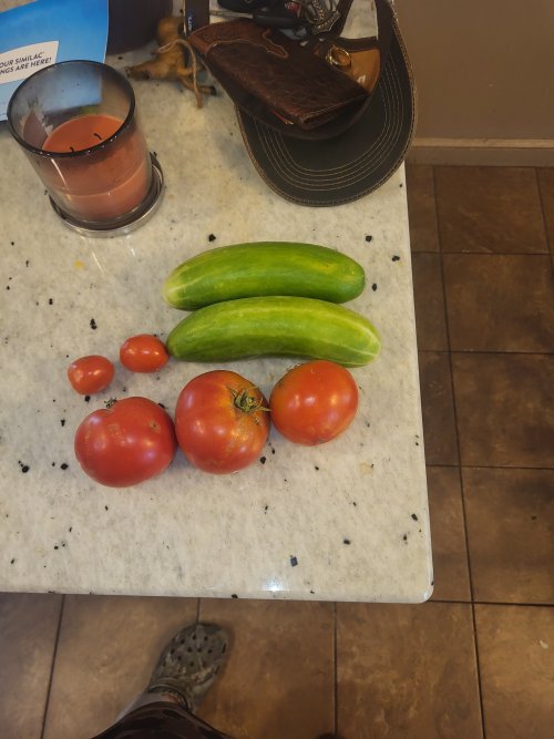 20250624_171250.jpg