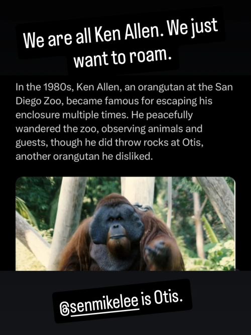 Screenshot_20250625-203827.png