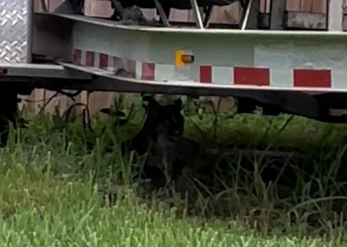 1750939147632.png 1750939147632.png