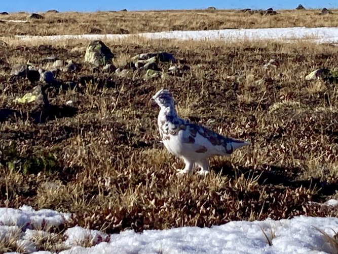 IMG_2696.jpeg IMG_2696.jpeg