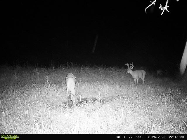 IMG_8450.jpeg IMG_8450.jpeg