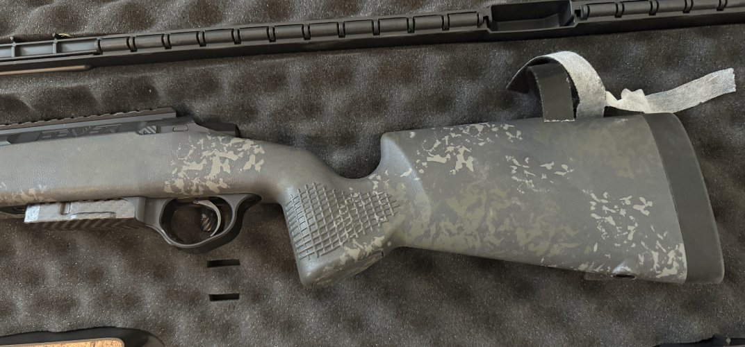 IMG_6637.jpeg IMG_6637.jpeg