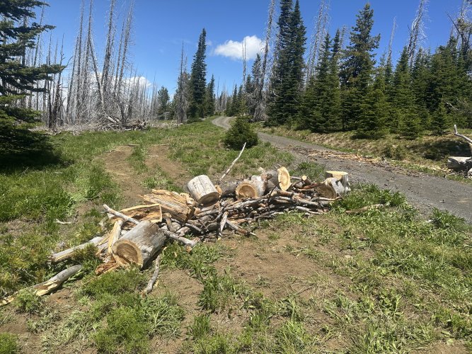 IMG_5727.jpeg IMG_5727.jpeg