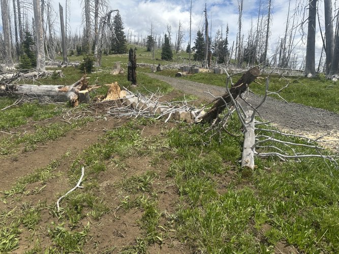 IMG_5721.jpeg IMG_5721.jpeg