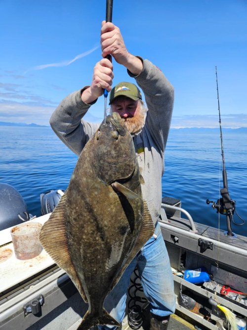 halibut2.jpg
