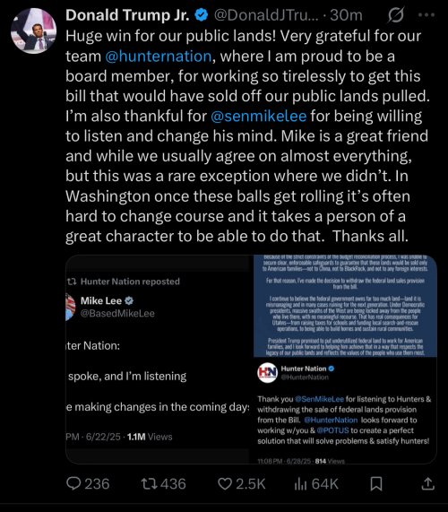 IMG_9335.jpeg IMG_9335.jpeg