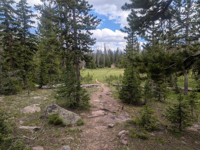 Trail.jpg Trail.jpg