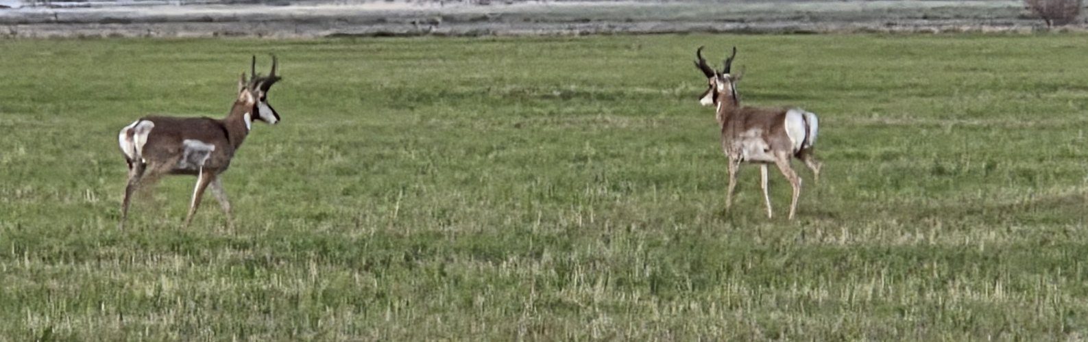 20250628_202117.jpg 20250628_202117.jpg