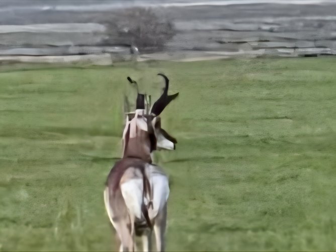 IMG_20250629_203225.jpg IMG_20250629_203225.jpg