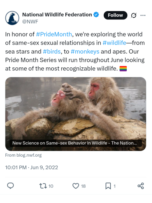 Screenshot_20250701-011801~2.png