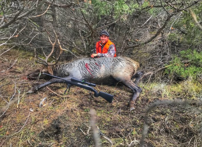 IMG_4054.jpeg IMG_4054.jpeg