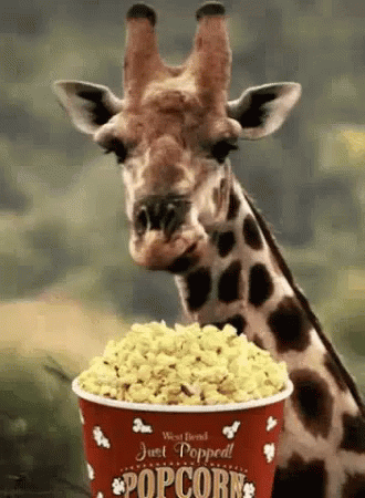 1751413621700.gif