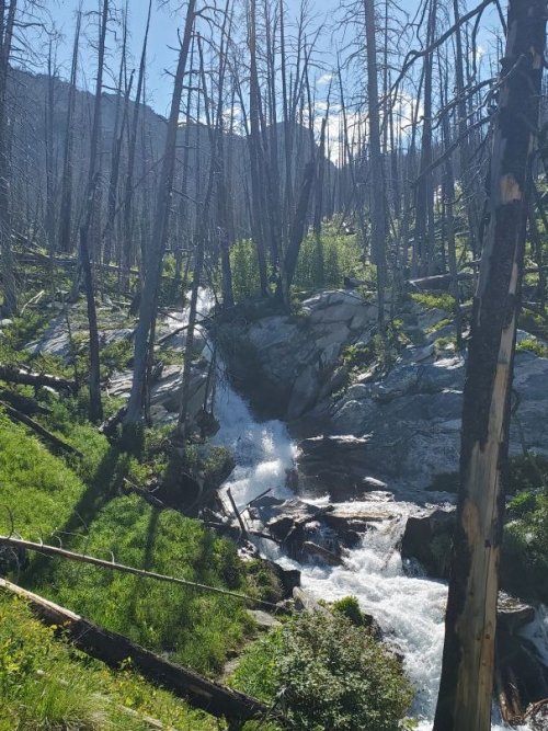 Falls upper Pine Creek.jpg Falls upper Pine Creek.jpg