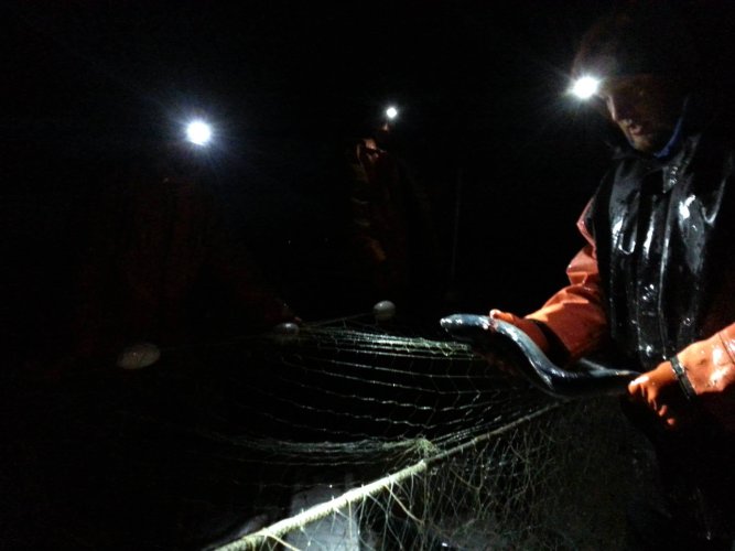 night fishing.jpg night fishing.jpg