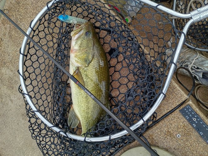 IMG_20250702_081632951_HDR.jpg