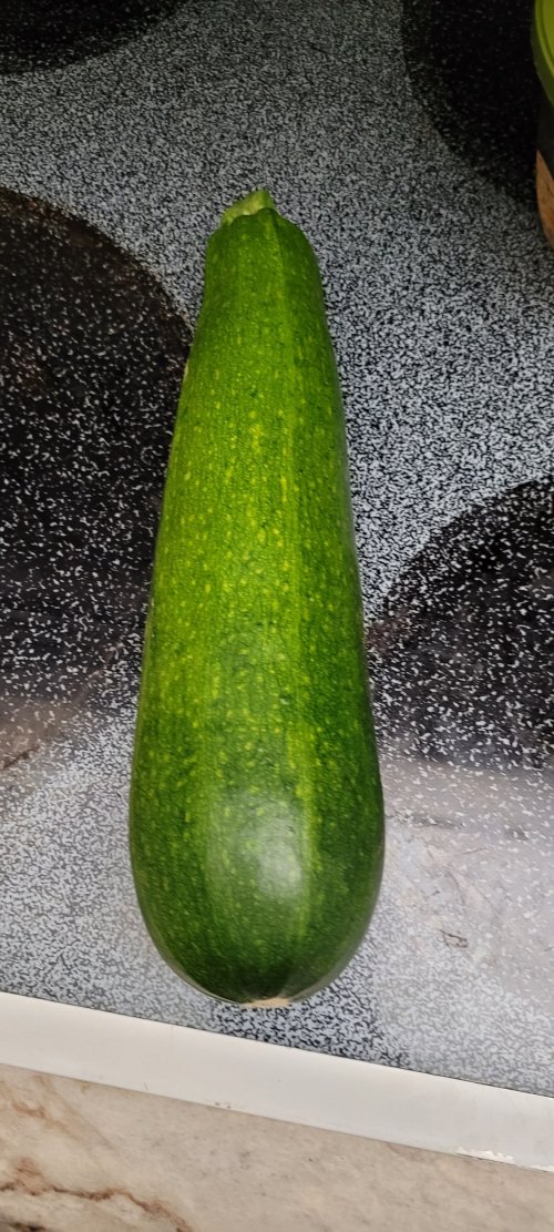 20250703_205027.jpg