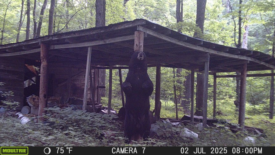 IMG_20250704_153849.jpg