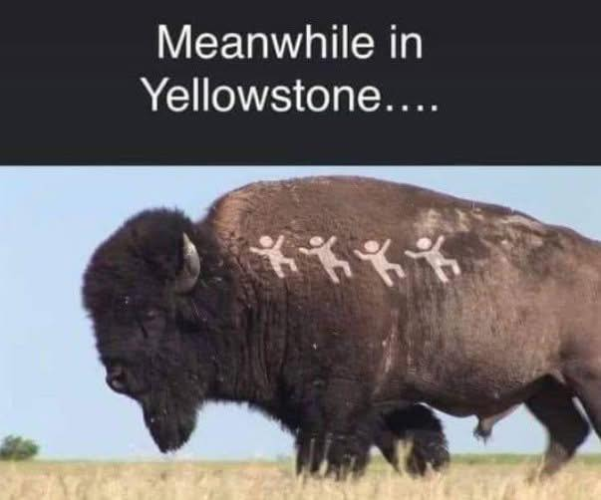 1751682203454.png