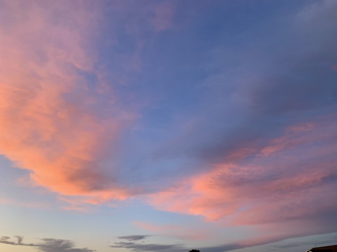 IMG_0262.jpeg
