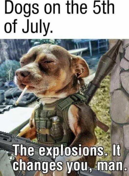 GvImf0zWkAAKkg0.jpeg