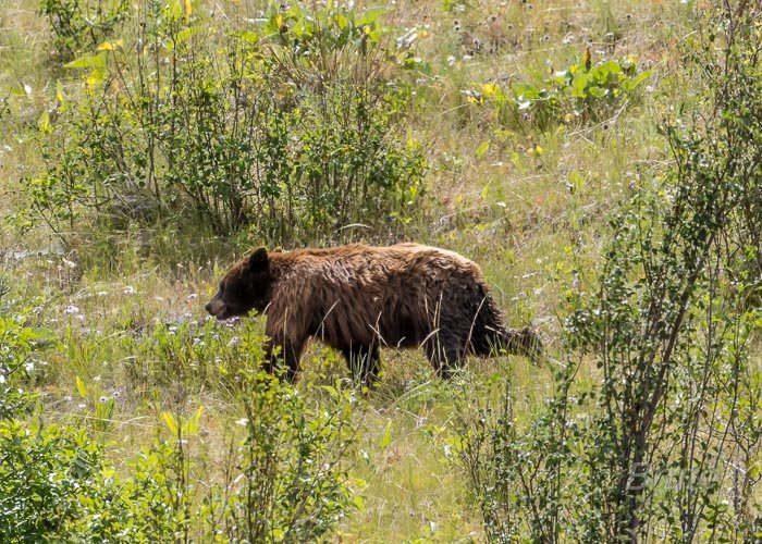 June 2025 a-4935.jpg