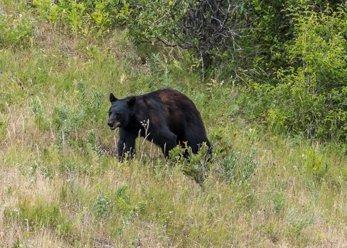 June 2025 a-4974.jpg