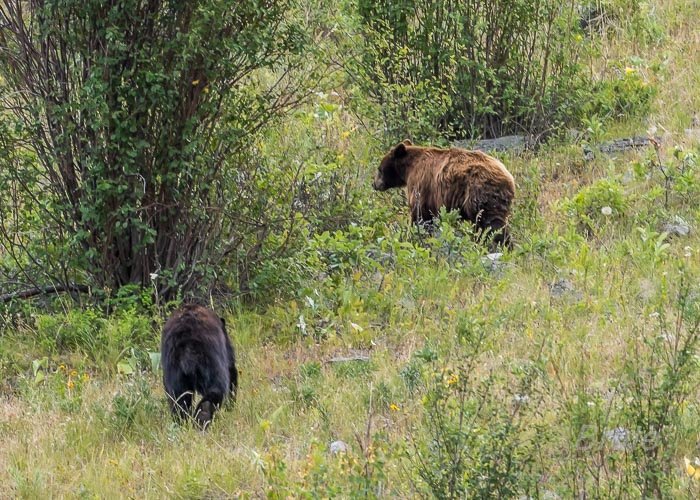 June 2025 a-5004.jpg